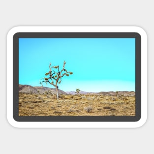 Joshua Tree National Park, California Sticker